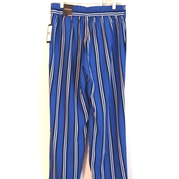 Flirtatious Bold Stripe Pull On Pants in Size Large  (NWT) - Picture 3 of 7
